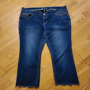 Amethyst plus size 24 jeans